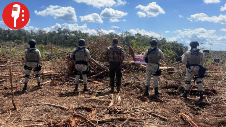 Profepa clausura predio de 42 hectáreas por destrucción forestal