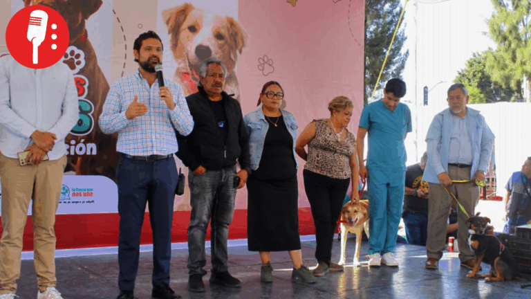 35 “perros peregrinos” encuentran familia en la GAM