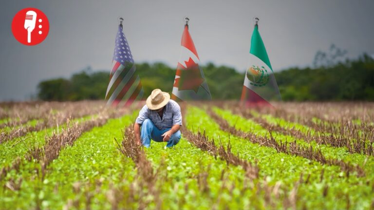 Organizaciones agrícolas de EUA apoyan renovación del T-MEC
