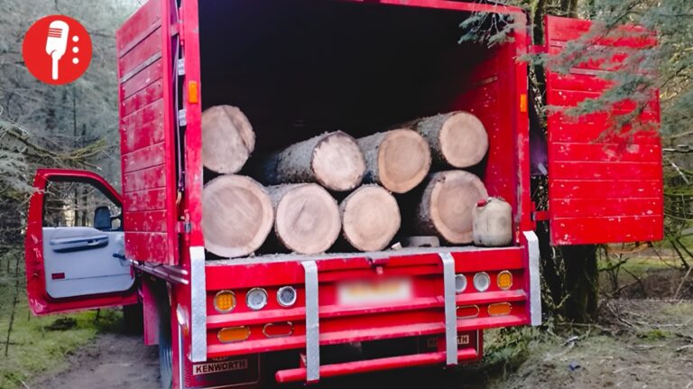 Tres detenidos por delitos forestales en Zinacantepec