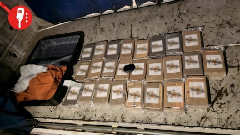 Decomisan cocaína en el Aeropuerto de Cancún