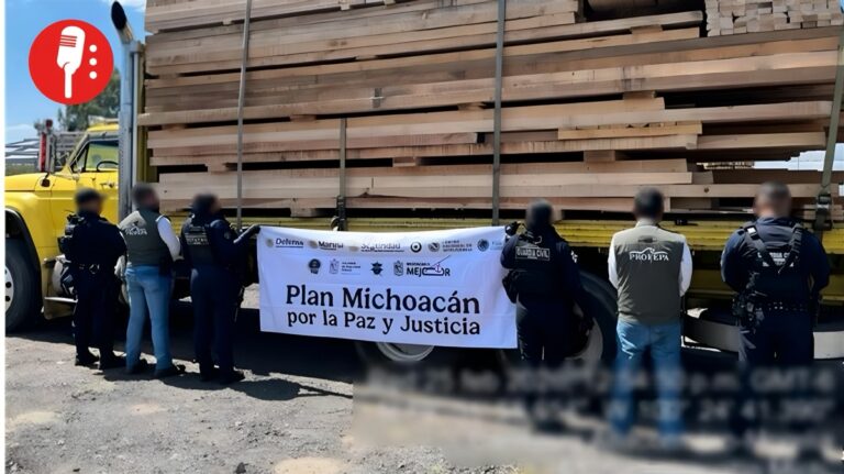 Operativo contra tala ilegal en la Reserva de la Mariposa Monarca