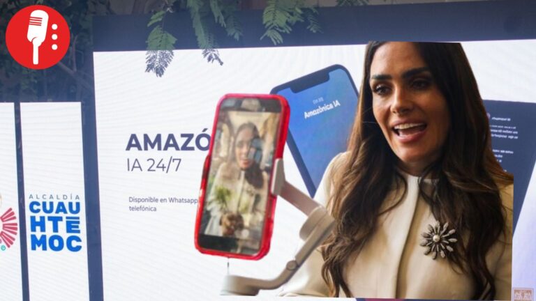 “Innovación” digital: Gobierno en teléfono celular pero No en la realidad