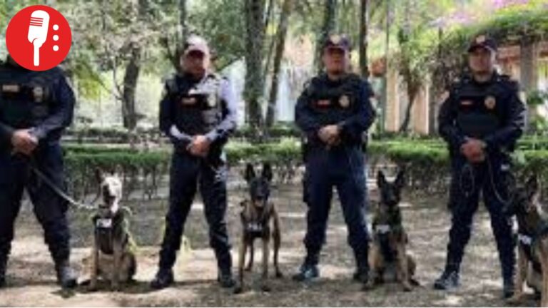 Refuerzan vigilancia con elementos caninos para fortalecer operativos de seguridad