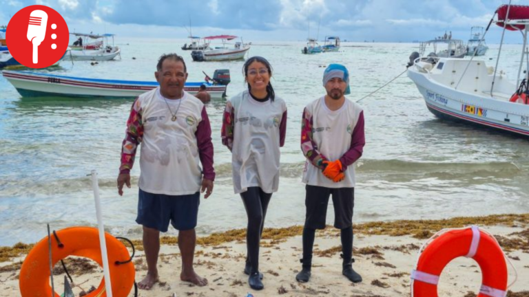 Limpieza submarina en Playa del Carmen: retiran más de 580 kg de basura
