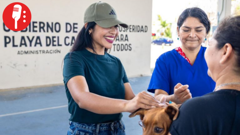¡Guau! Playa del Carmen vacuna a más de 10 mil lomitos