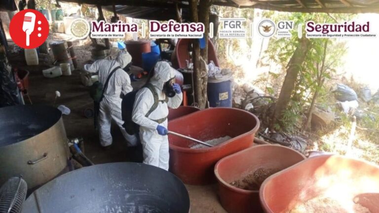 Marina desmantela narcolaboratorio en Guerrero; producía 6.7 toneladas de metanfetamina al mes