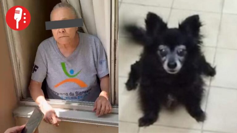 Juez libera a mujer acusada de matar a la perrita Moni en Coyoacán; vecinos y activistas protestan