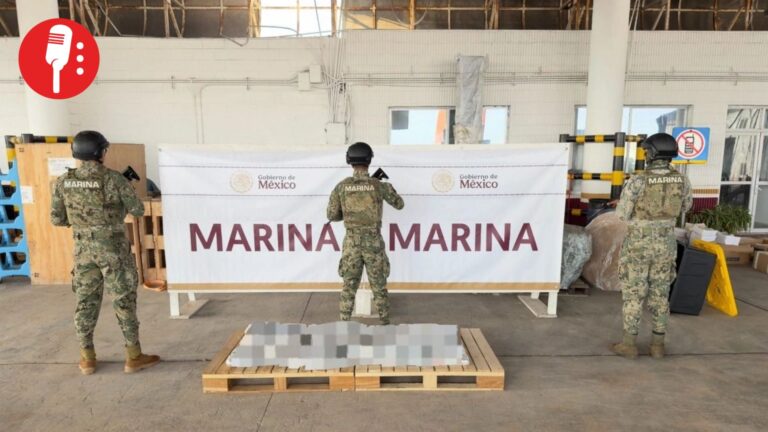 Marina asegura 220 kilos de droga en Veracruz ocultos en contenedores