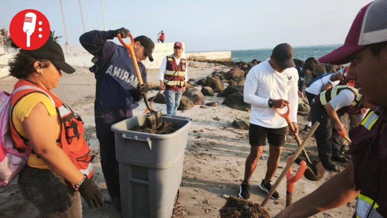 Gobierno federal despliega operativo por derrame de hidrocarburos en playas de Tabasco y Veracruz