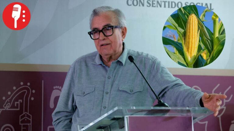 Sinaloa asegura venta total de cosecha de maíz y anuncia apoyo estatal a productores