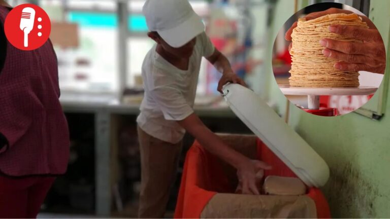 Profeco sanciona venta de tortillas en hieleras en el sur de Tamaulipas