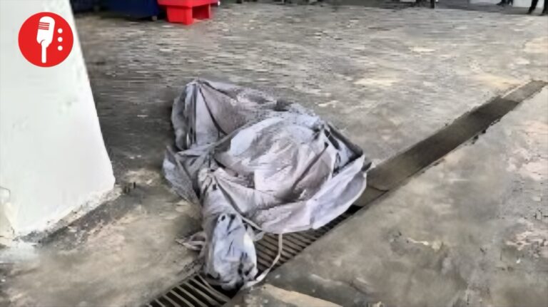 Tragedia en el Estadio Banorte: aficionado fallece tras caída desde palcos