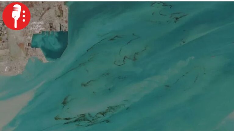Ataques en golfo Pérsico provocan derrames y encienden alerta ambiental