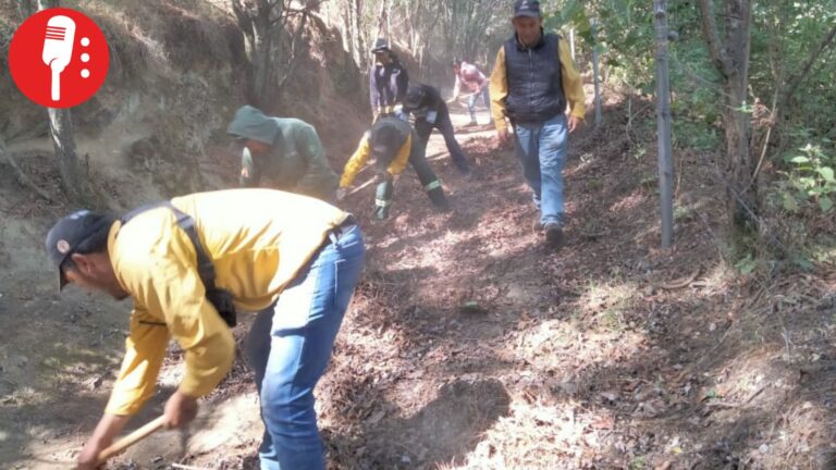 Toluca fortalece prevención de incendios con brechas cortafuegos en zonas forestales
