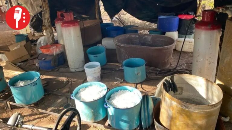 Semar destruye narcolaboratorio ligado al Cártel de Sinaloa en Cosalá
