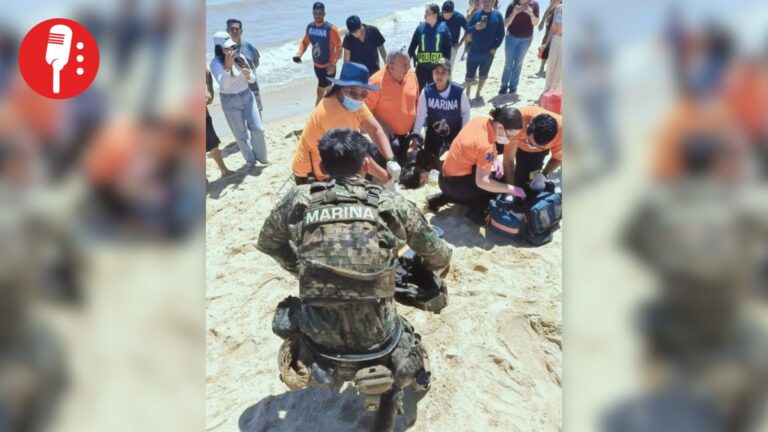 Elemento de la Marina arriesga su vida y rescata a turista en San Felipe