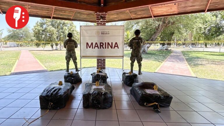 Marina decomisa 265 kilos de cocaína en operativo en costas de Michoacán