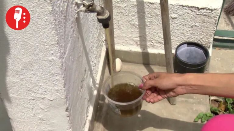 Guadalajara, en crisis por agua sucia a casi un mes del Mundial