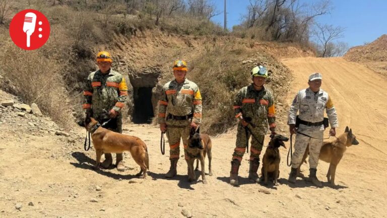 Intensifican rescate en mina Santa Fe con binomios caninos a 22 días del colapso