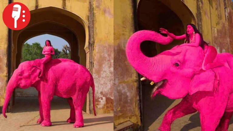 “Chanchal”, el elefante que murió semanas después de ser pintado para una sesión