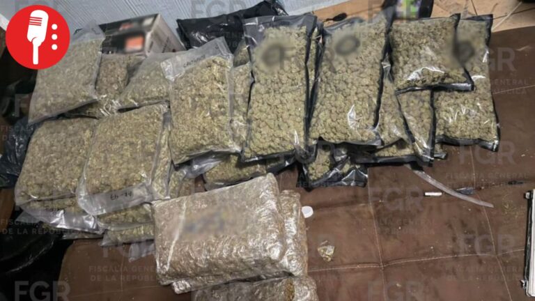 Vinculan a proceso a tres personas por posesión de 100 kilos de marihuana en CDMX