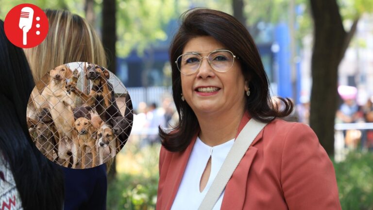 10 mil perros sacrificados en Tecámac: decisión de Mariela Gutiérrez