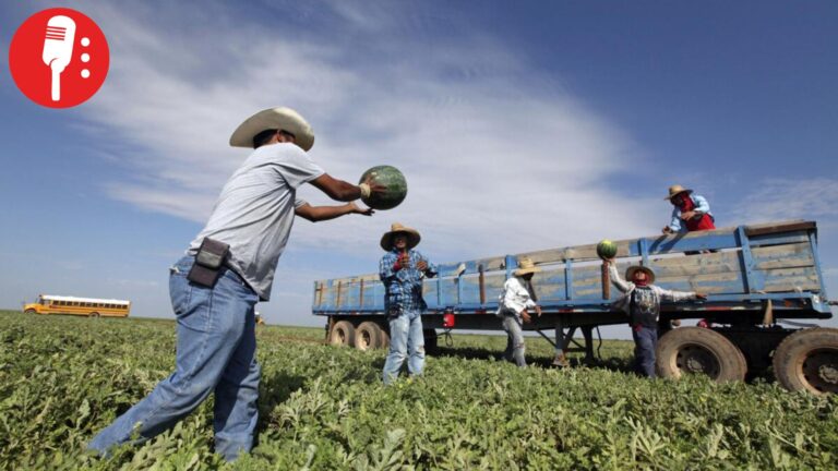 Crisis en restaurantes de Texas: Deportaciones de Trump golpean al sector