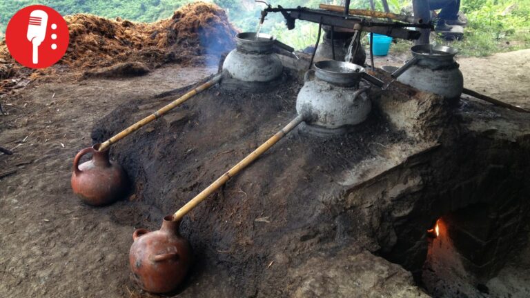 Tradición en riesgo: mezcal ancestral lucha por sobrevivir al avance industrial