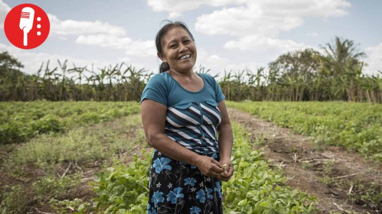 Desigualdad golpea al campo: mujeres rurales ganan menos