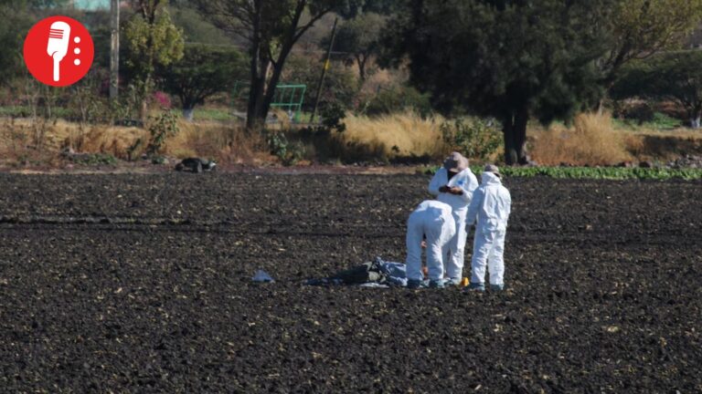 Localizan 20 cuerpos en fosas clandestinas en Cortázar, Guanajuato