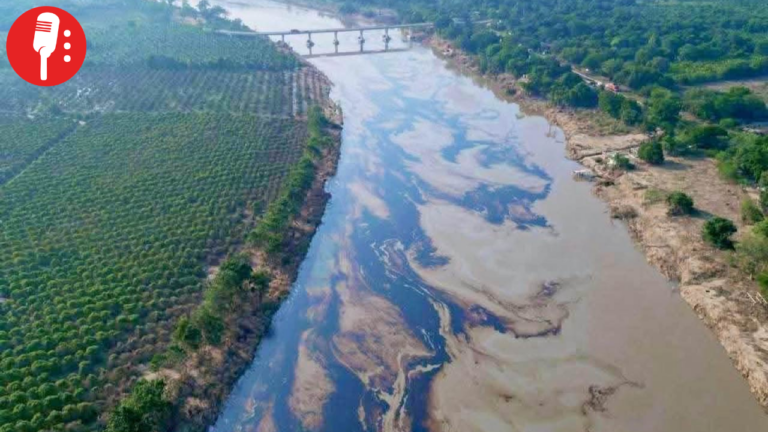 Gobierno asegura playas seguras en Veracruz pese a derrame petrolero