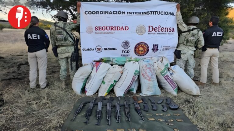 Detenciones y aseguramientos marcan el informe de seguridad del Gobierno