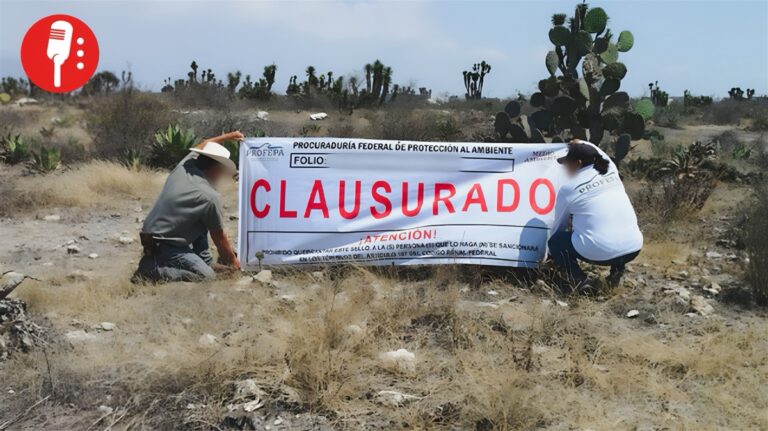 Clausuran obras ilegales en la reserva de Tehuacán-Cuicatlán