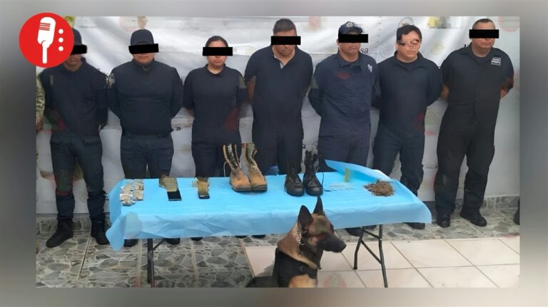 Seis policías de Coscomatepec, detenidos por drogas