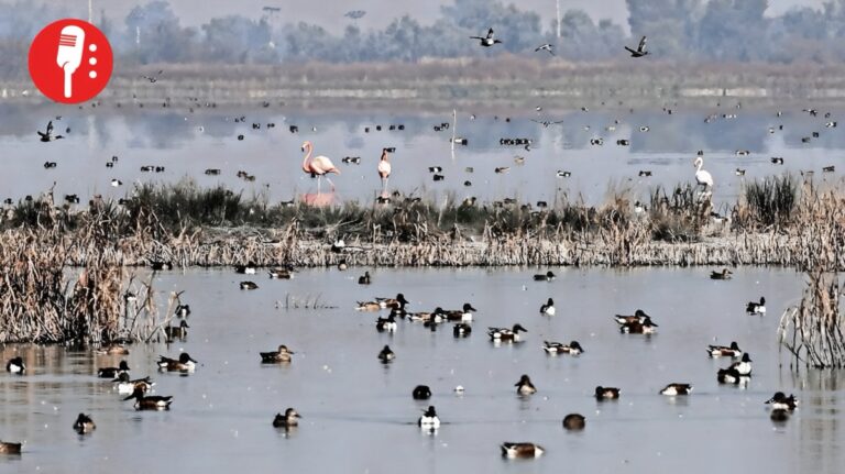 Corte protege el Lago de Texcoco