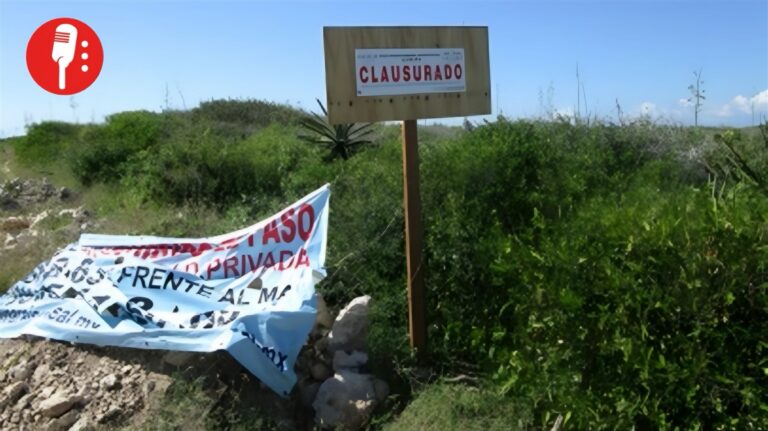 Reparación ambiental tras daño en Sisal