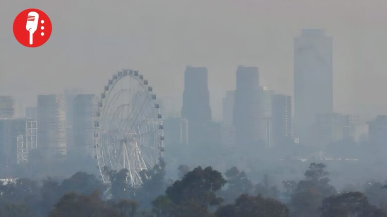Contingencia ambiental en la CDMX: se suspenden actividades al aire libre