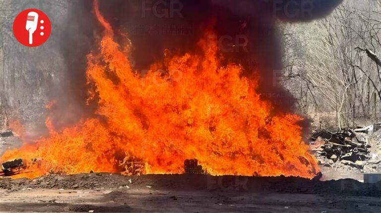 FGR incinera nueve toneladas de drogas en Sinaloa
