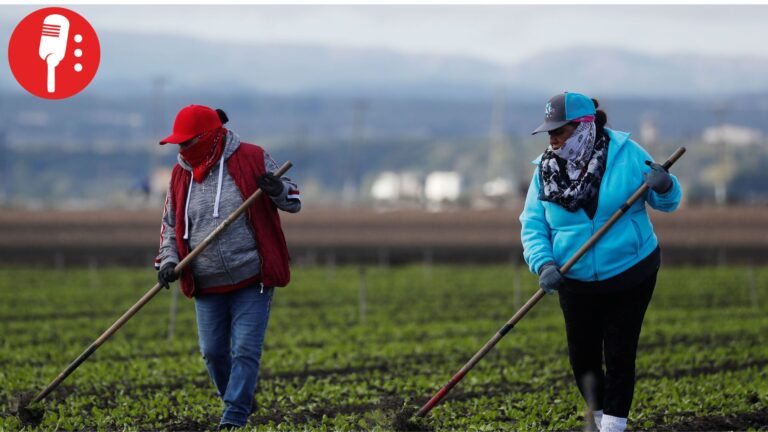 Mujeres mexicanas, parte clave de la economía en EUA