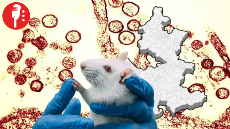 Hantavirus: lo que debes saber sobre el brote y sus riesgos