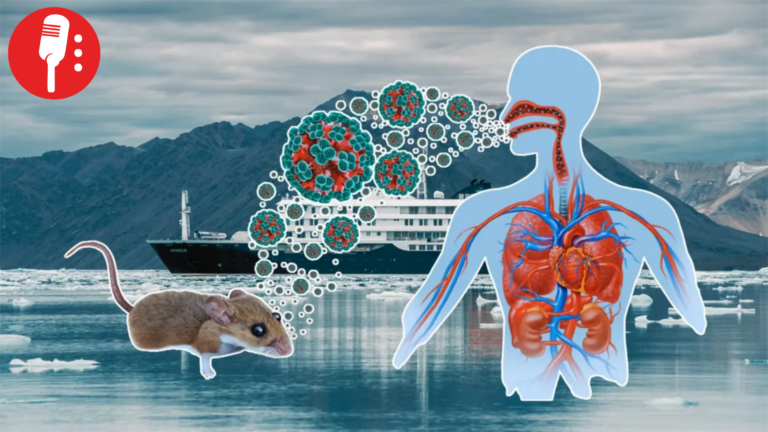 Hantavirus en crucero argentino, ¿qué es este virus que ha encendido alertas?
