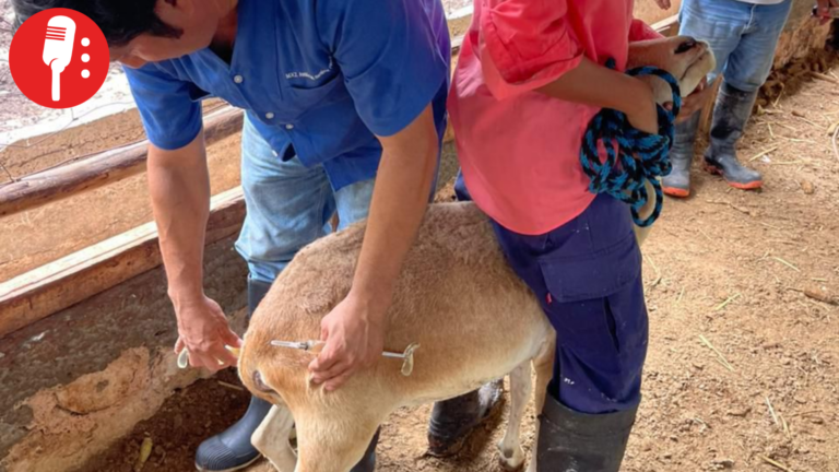 “Veterinario en tu Rancho” acerca salud animal a comunidades rurales