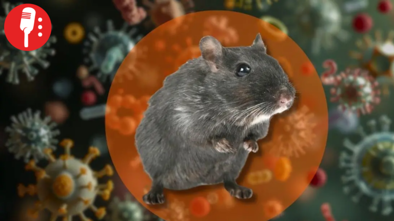 Hantavirus en crucero deja tres muertos y casos en seis países