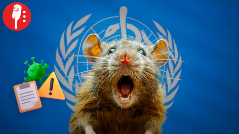 Hantavirus: OMS descarta nueva pandemia