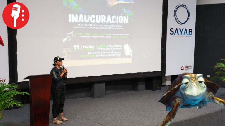 Playa del Carmen refuerza protección de tortugas marinas