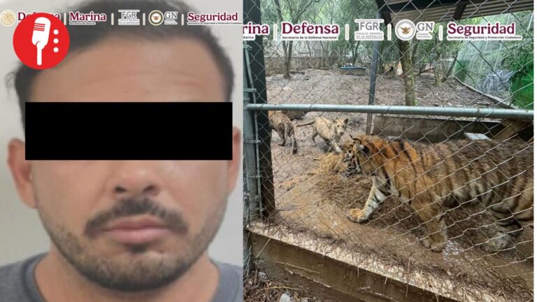 Cae José Antonio “N”, líder de célula vinculada al Cártel del Noroeste, en Nuevo León
