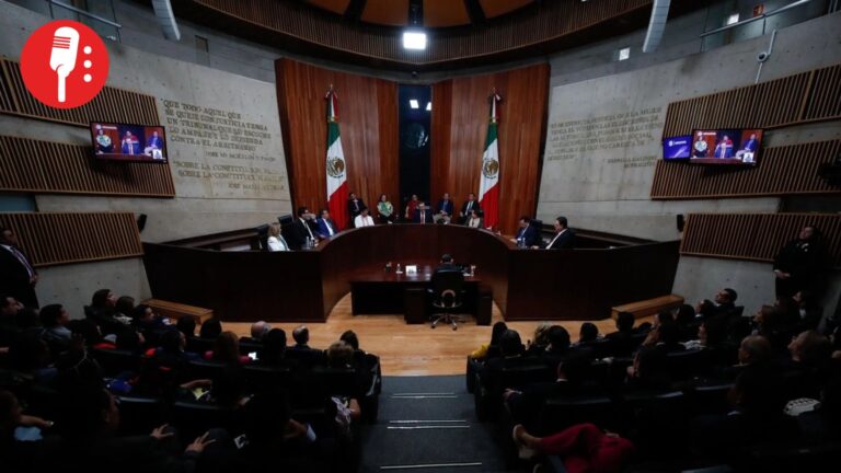 TEPJF obliga al INE a garantizar justicia accesible para personas con autismo