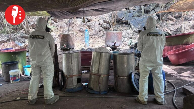 Desmantelan narcolaboratorios en Jalisco, Nayarit y Sinaloa; golpe supera los 650 mdp