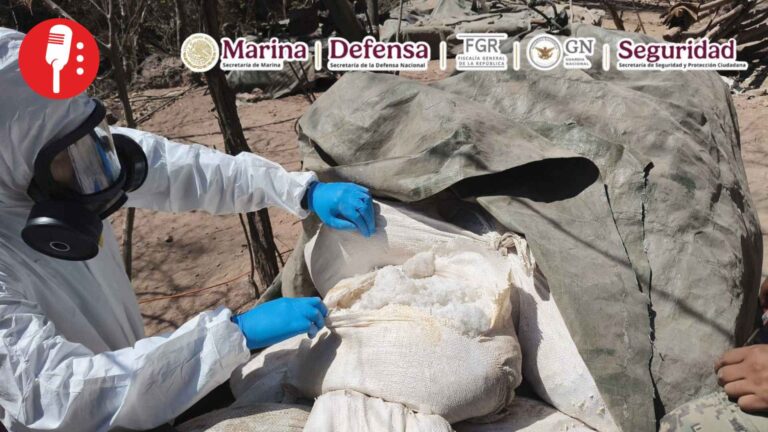 Destruyen laboratorios clandestinos y decomisan más de 4 toneladas de metanfetamina en Sinaloa